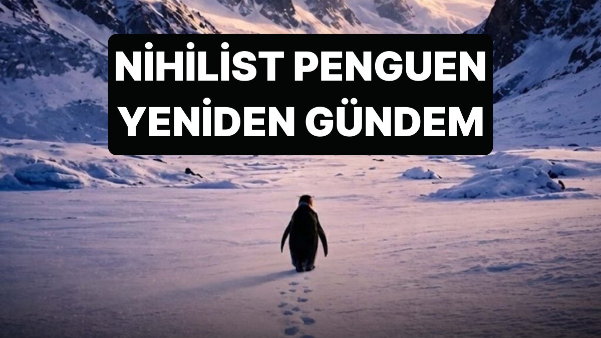 Sosyal Medyada Tartışılan Nihilist Penguenin Öyküsü Ne İfade Ediyor?